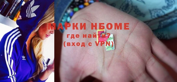 индика Арсеньев