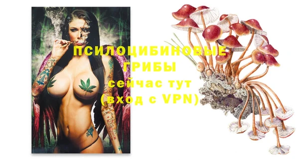 МДПВ Алексин