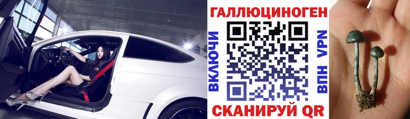 Галлюциногенные грибы Magic Shrooms  Яхрома 